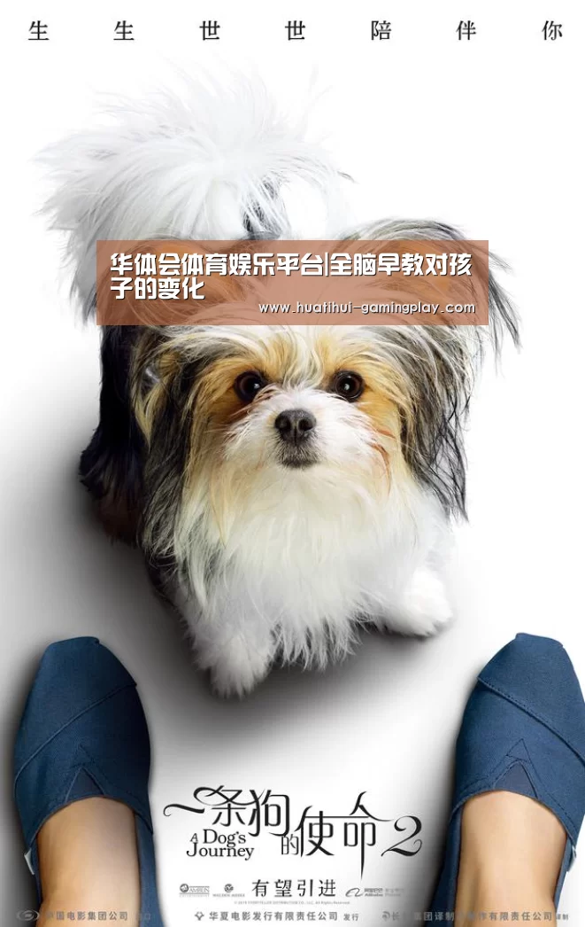 华体会体育娱乐平台|全脑早教对孩子的变化(图2) 华体会电竞
