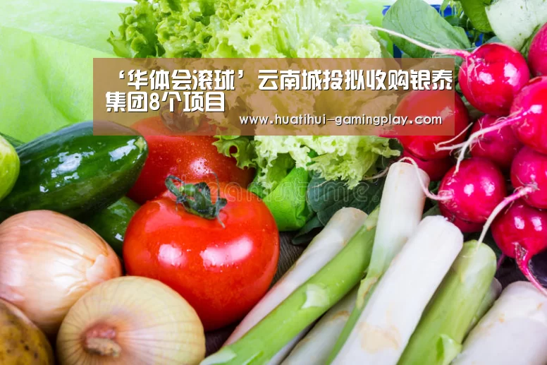 ‘华体会滚球’云南城投拟收购银泰集团8个项目(图2) 华体会滚球