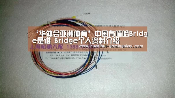 ‘华体会亚洲体育’中国有嘻哈Bridge是谁 Bridge个人资料介绍(图3) 华体会体育娱乐平台